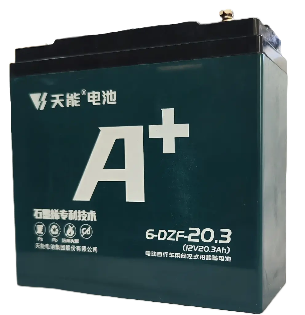 Bateria de Plomo 12V20A