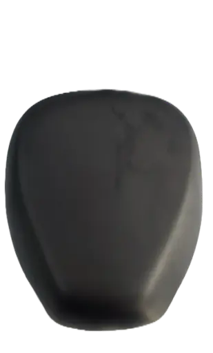 Asiento principal